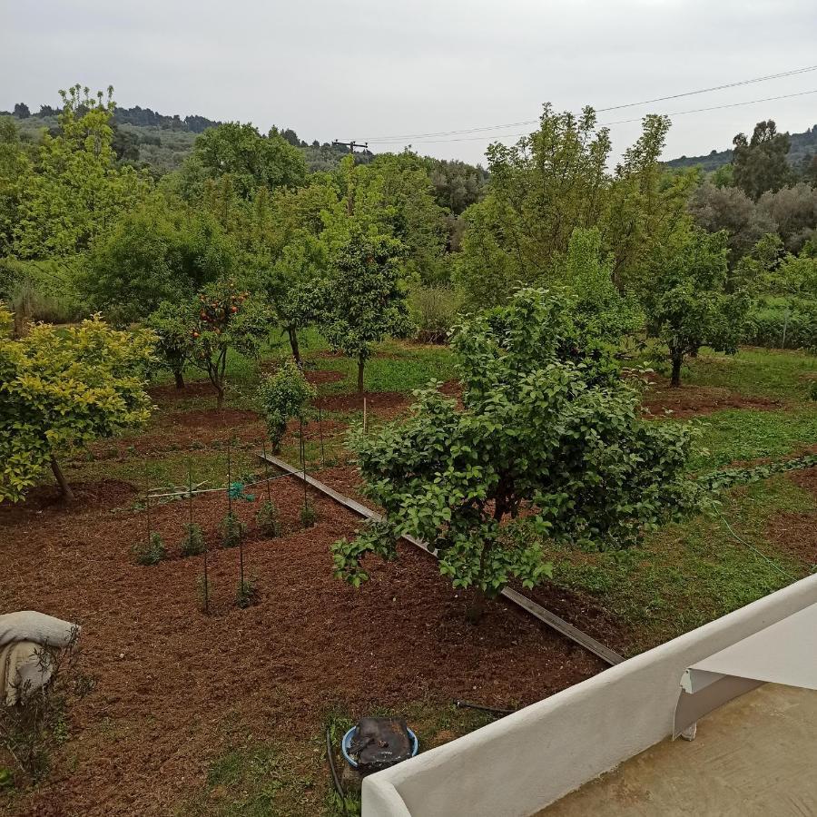 Εξοχική Κατοικία - Cottage Τίνα Líri Exterior foto